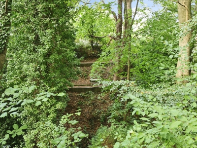 Picture 44